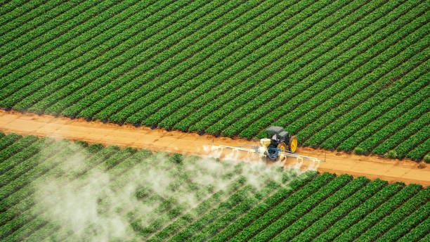 Best Termite Control Services  in Malvern, IA